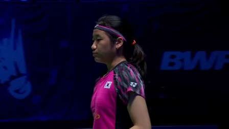 引起了球迷 引起了球迷